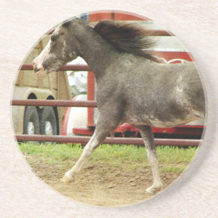 Posavasos De Arenisca Mini galopes del caballo del Pinto