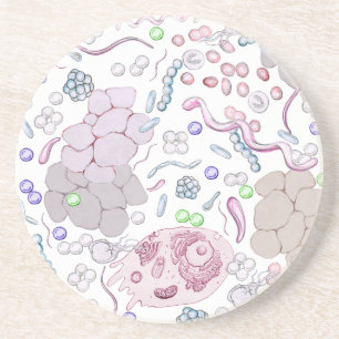Posavasos De Arenisca Modelo de la microbiología