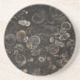 Posavasos De Arenisca Monasterio de la Roca Pulida (Turritella Agate)