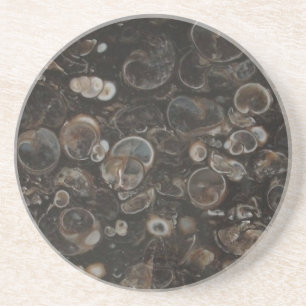 Posavasos De Arenisca Monasterio de la Roca Pulida (Turritella Agate)