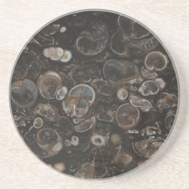 Posavasos De Arenisca Monasterio de la Roca Pulida (Turritella Agate) (Frente)