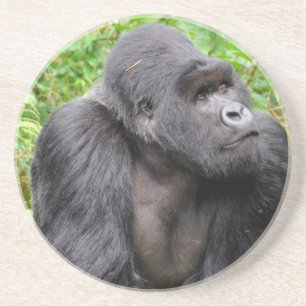 Posavasos De Arenisca Mono feliz