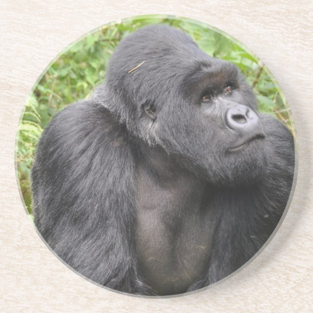 Posavasos De Arenisca Mono feliz (Frente)