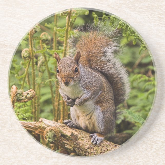 Posavasos De Arenisca Monstruo de ardilla gris (Frente)