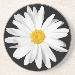Posavasos De Arenisca Monstruo de arena blanca Shasta Daisy