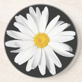 Posavasos De Arenisca Monstruo de arena blanca Shasta Daisy