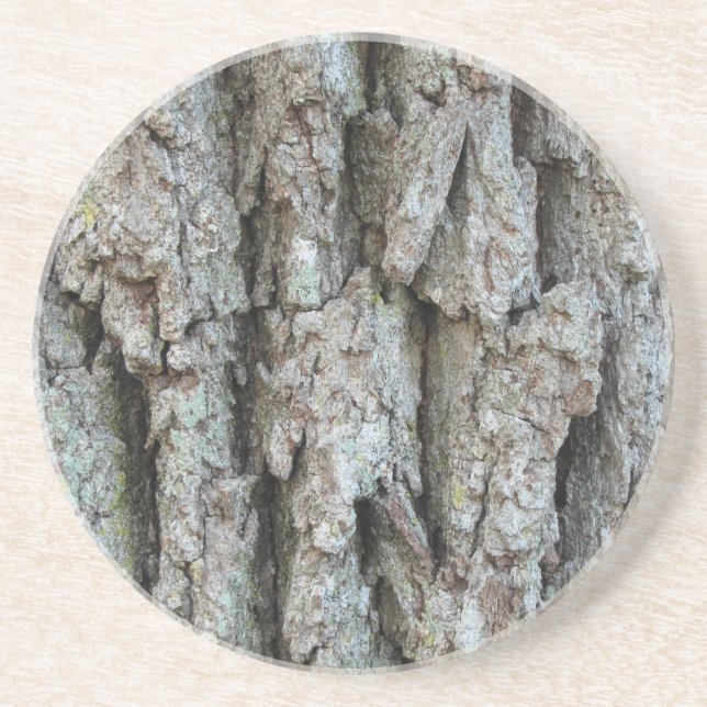 Posavasos De Arenisca Monstruo de barras de árbol (Frente)