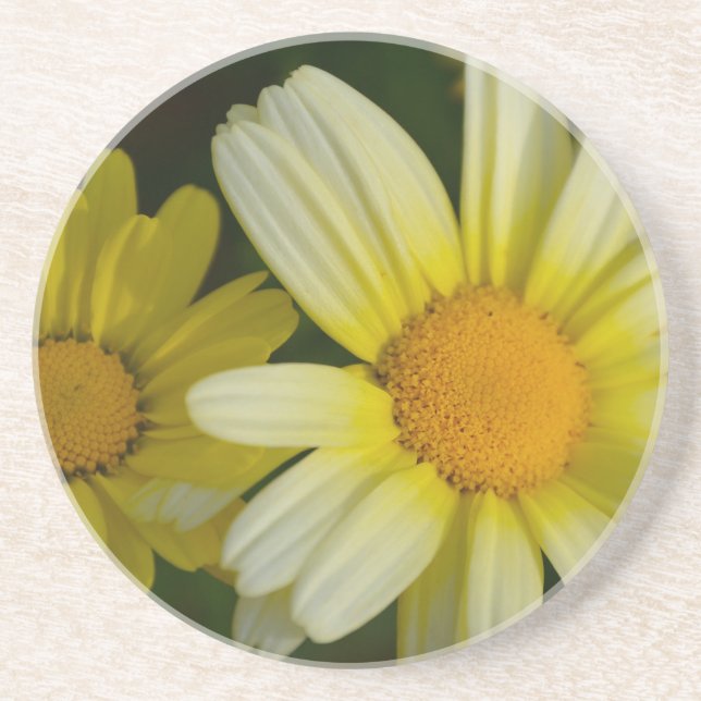 Posavasos De Arenisca Monstruo de bebida de arena (Frente)