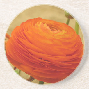 Posavasos De Arenisca Monstruo de flores naranja