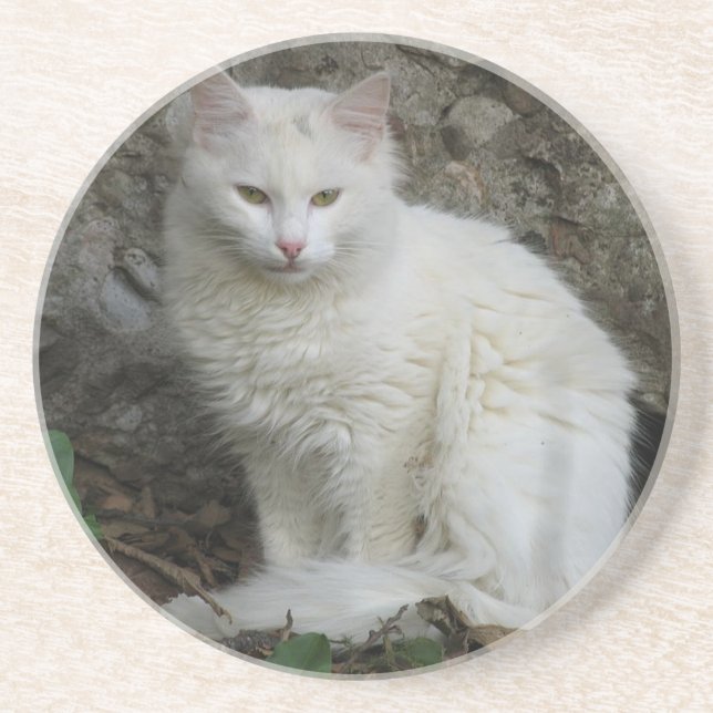 Posavasos De Arenisca Monstruo de gato blanco (Frente)