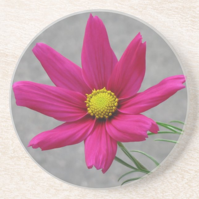 Posavasos De Arenisca Monstruo de personalizado de flores rosadas (Frente)