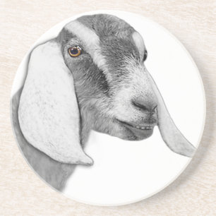 Posavasos De Arenisca Monstruo de piedra arenisca de cabra nubia