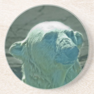 Posavasos De Arenisca Monstruo del oso polar