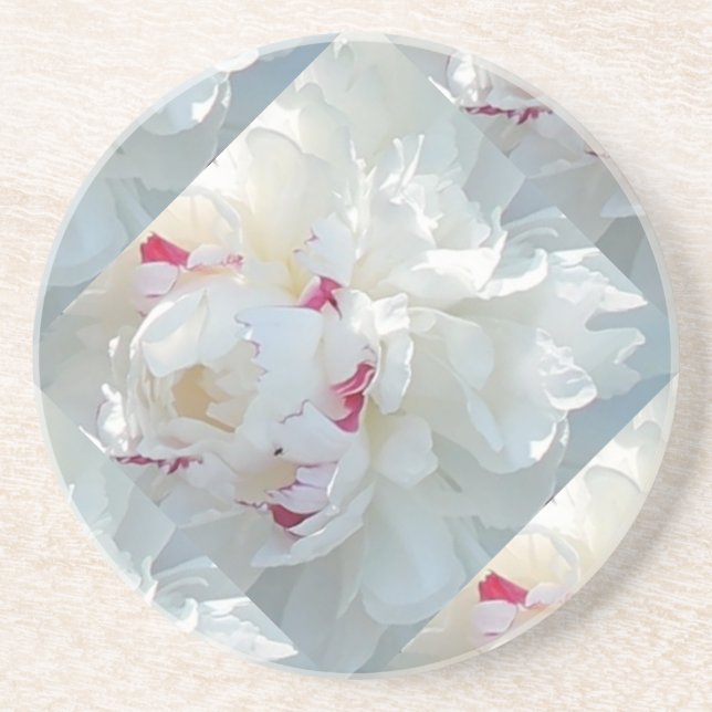 Posavasos De Arenisca Monstruo Románico Multipeony (Frente)