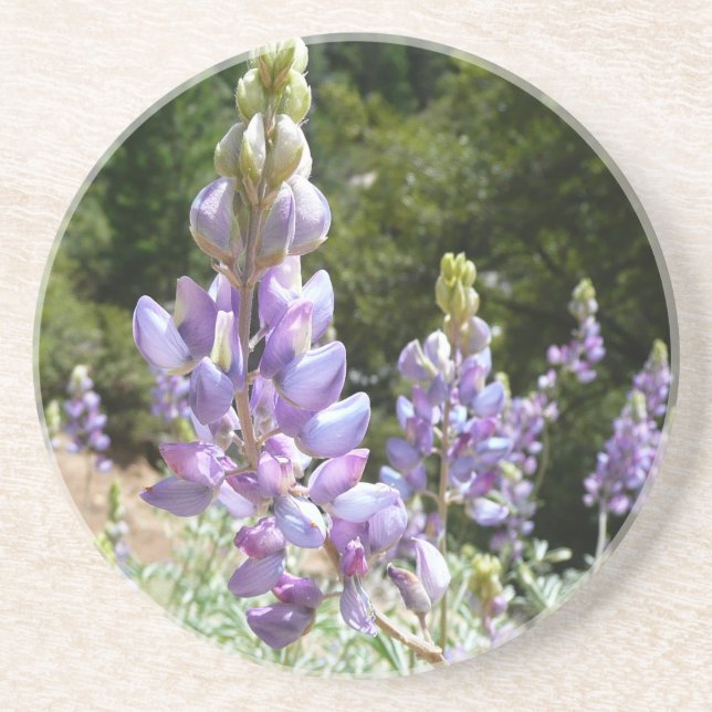 Posavasos De Arenisca Montaña Lupins en Yosemite (Frente)