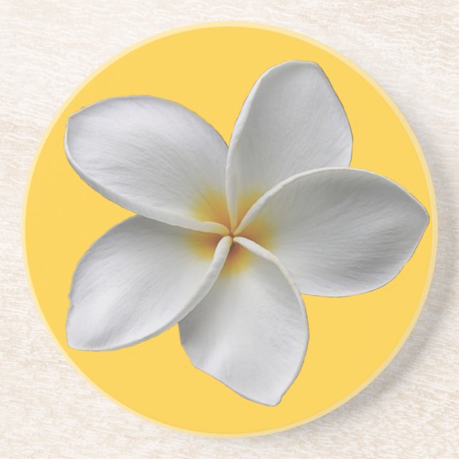 Posavasos De Arenisca Montaña Plumeria (Frente)