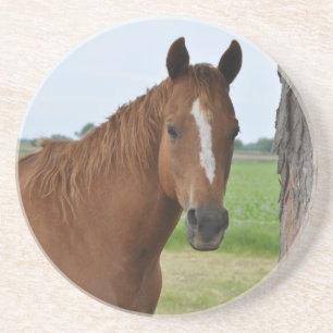 Posavasos De Arenisca Montaña Rusa de Caballos