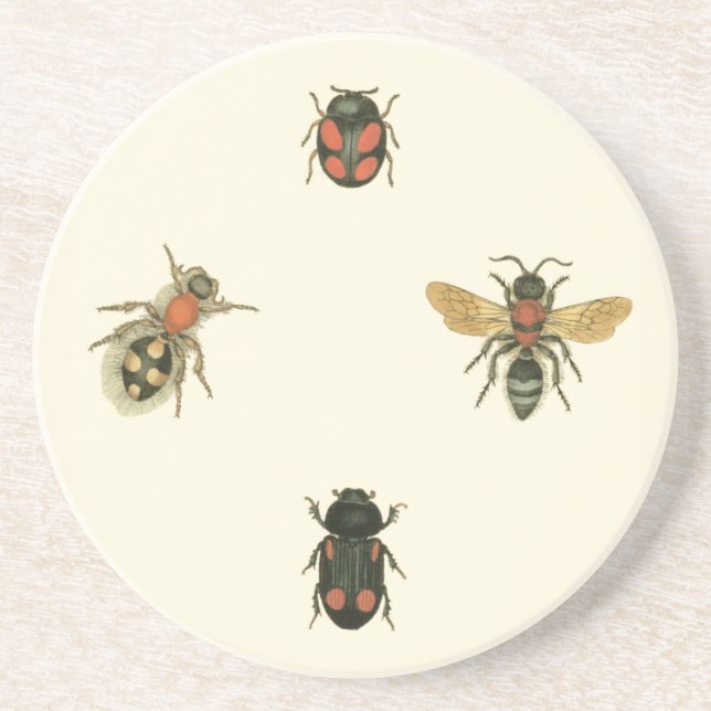 Posavasos De Arenisca Moscas y escarabajos por Vision Studio (Frente)