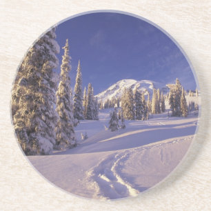 Posavasos De Arenisca NA, EE. UU., Washington, Mt. Rainier NP, Raquetas