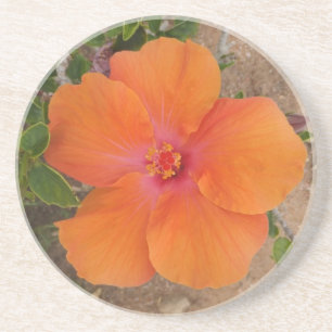 Posavasos De Arenisca Naranja Hibiscus coaster