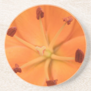 Posavasos De Arenisca Naranja Lily Floral Coasters