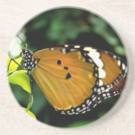 Posavasos De Arenisca Naranja, mariposa negra y blanca en hojas