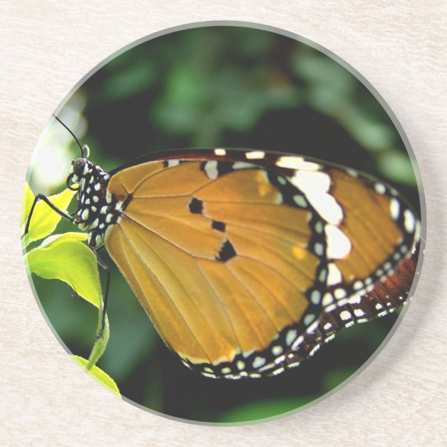 Posavasos De Arenisca Naranja, mariposa negra y blanca en hojas (Frente)