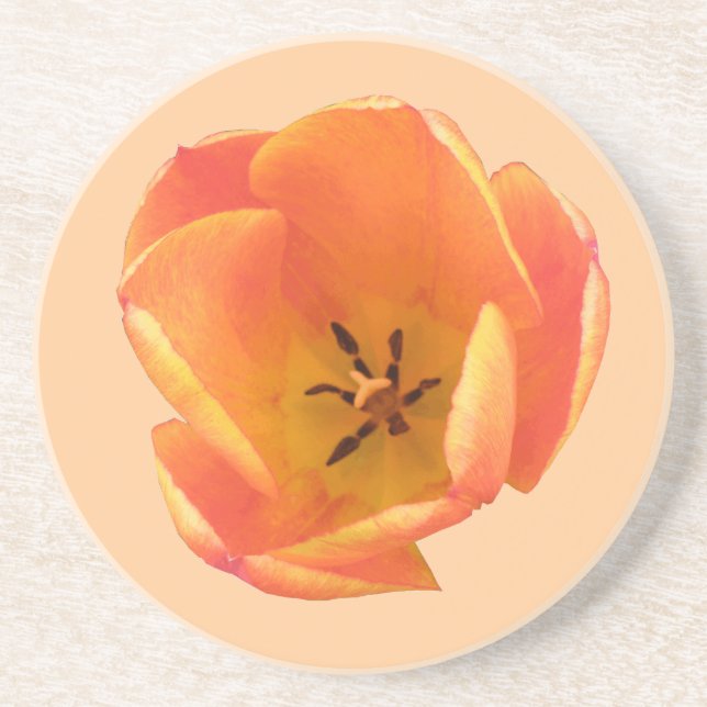 Posavasos De Arenisca Naranja Tulip Coasters (Frente)
