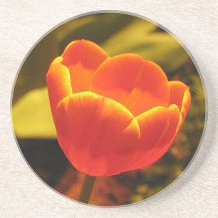 Posavasos De Arenisca Naranja Tulips Coaster