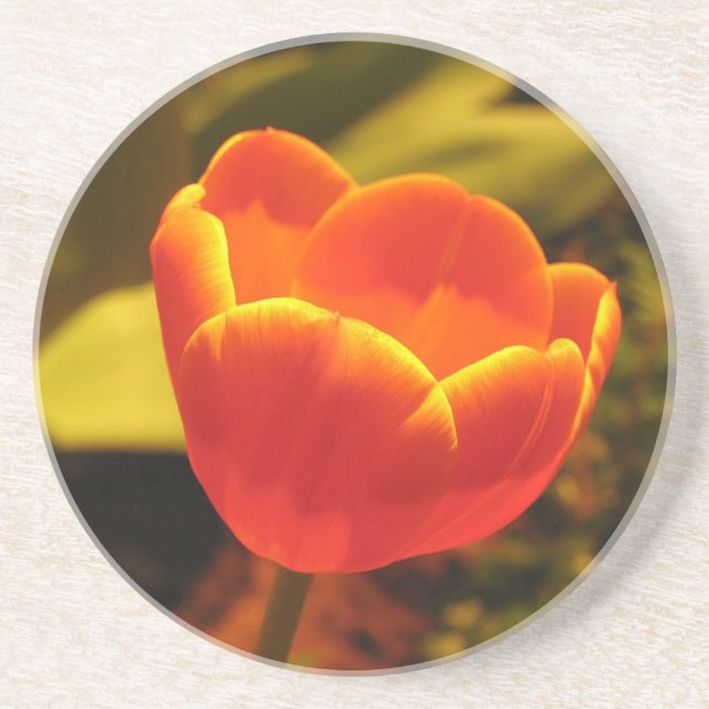 Posavasos De Arenisca Naranja Tulips Coaster (Frente)