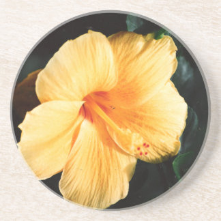 Posavasos De Arenisca Naranja Yellow Hibiscus Flower Coaster