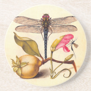 Posavasos De Arenisca Naturaleza botánica de la libélula