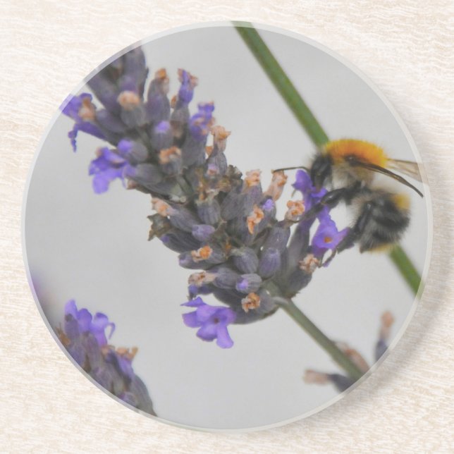 Posavasos De Arenisca Naturas trabajadores maravillosos (Frente)