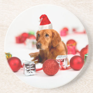 Posavasos De Arenisca Navidades de Golden Retriever Dog W Red Santa Hat