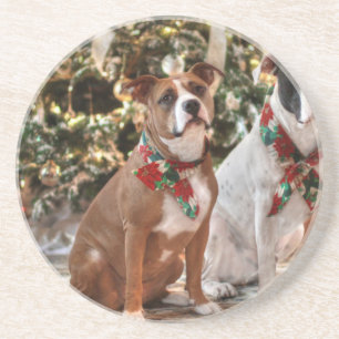 Posavasos De Arenisca Navidades inteligentes rescatan a Pitbull y al Bul