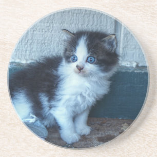 Posavasos De Arenisca Negro + Gatito Blanco