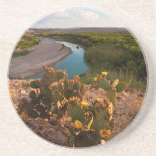 Posavasos De Arenisca Nopal (Opuntia Sp.)