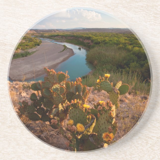 Posavasos De Arenisca Nopal (Opuntia Sp.) (Frente)