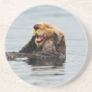Posavasos De Arenisca Nutria de mar de Alaska