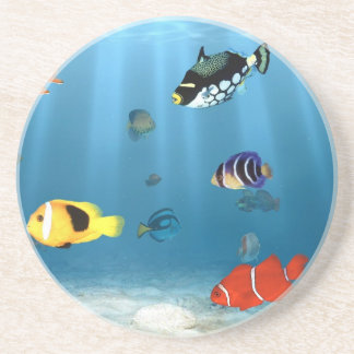 Posavasos De Arenisca Océanos de pescados