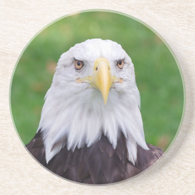 Posavasos De Arenisca Ojos de un águila (Frente)