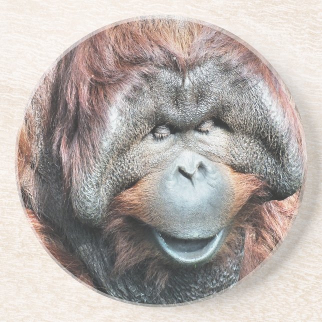POSAVASOS DE ARENISCA ORANGUTANOS (Frente)