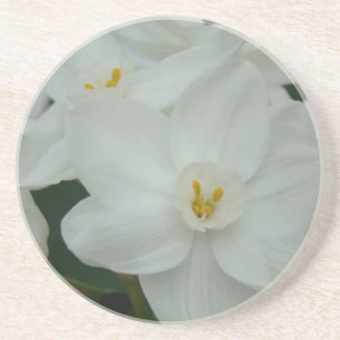 Posavasos De Arenisca Orquídea Blanca