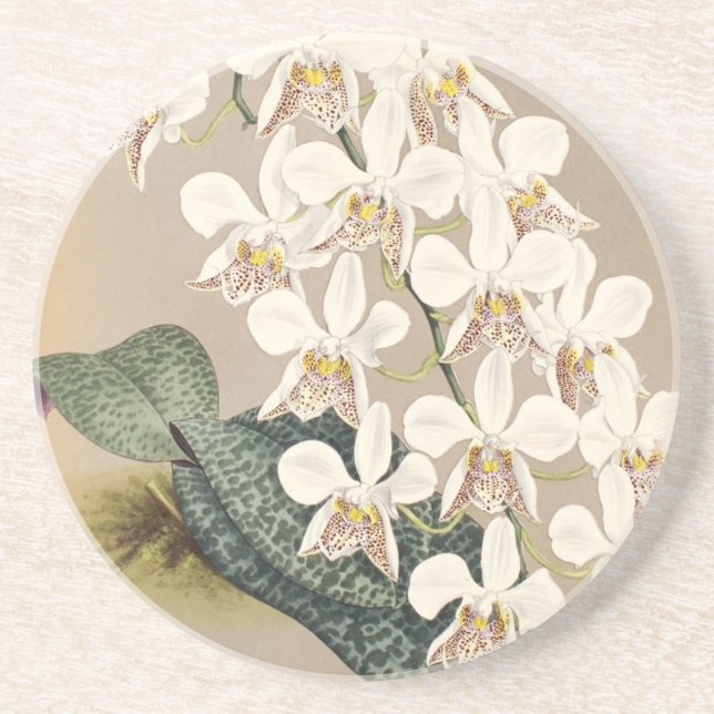 Posavasos De Arenisca Orquídeas (Frente)