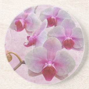 Posavasos De Arenisca Orquídeas De Madera Rosa - Falenopsis