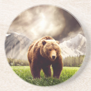 Posavasos De Arenisca Oso de la montaña