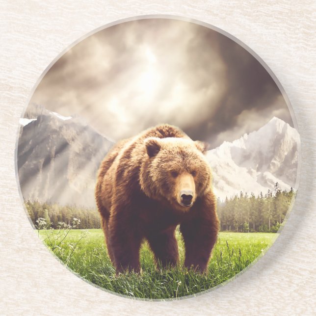 Posavasos De Arenisca Oso de la montaña (Frente)