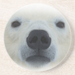 Posavasos De Arenisca Oso polar