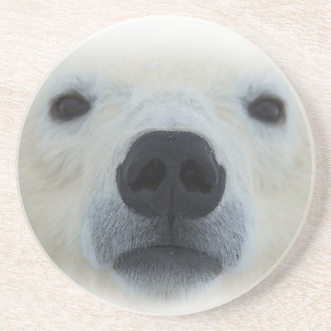 Posavasos De Arenisca Oso polar (Frente)