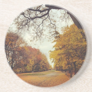 Posavasos De Arenisca Otoño en Nueva York otoño deja el parque Riverside